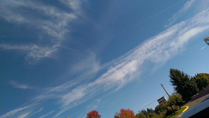 10:5:15portland7.jpg