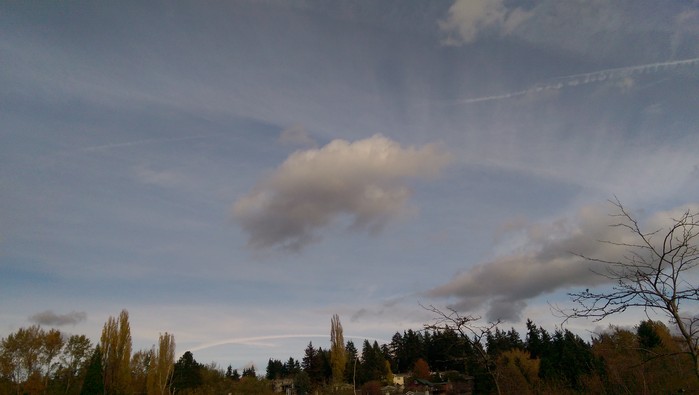 11:11:152.jpg