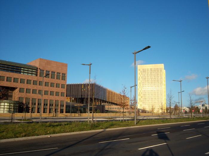 100_4581.jpg