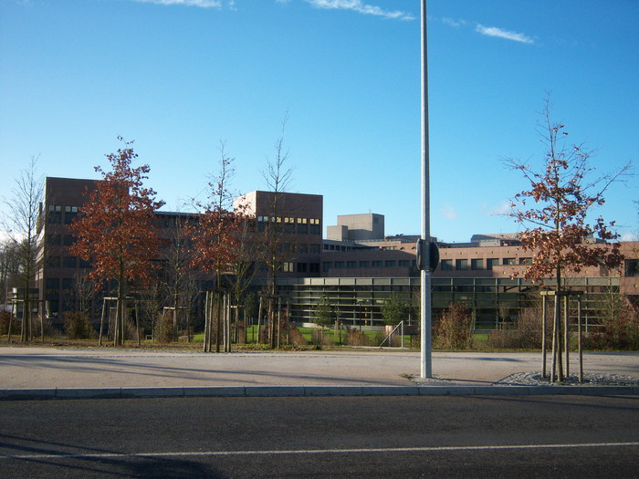 100_4549.jpg