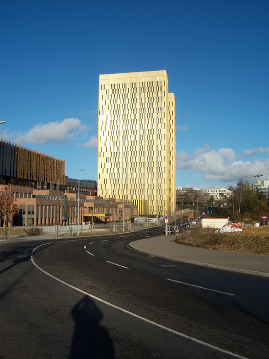 100_4546.jpg