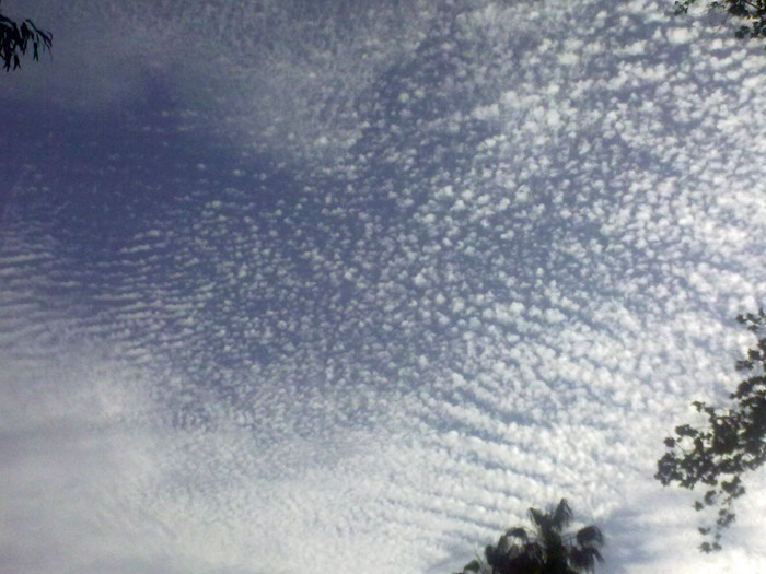 27042012350.jpg