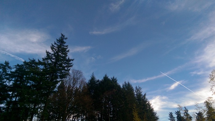 2:9:164.jpg