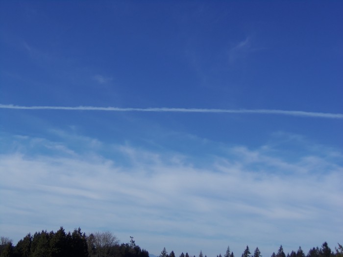 100_0279.JPG