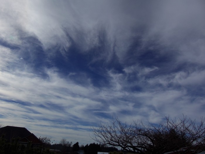 100_0293.JPG