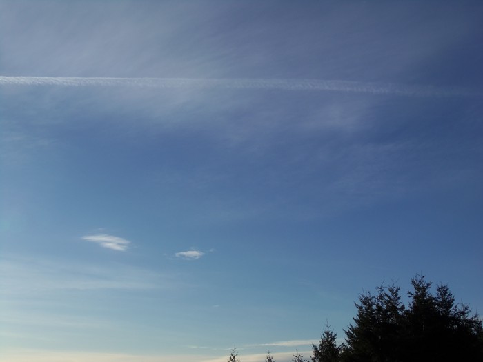 100_0359.JPG