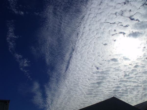 tn_2012_0417Chems0014.JPG