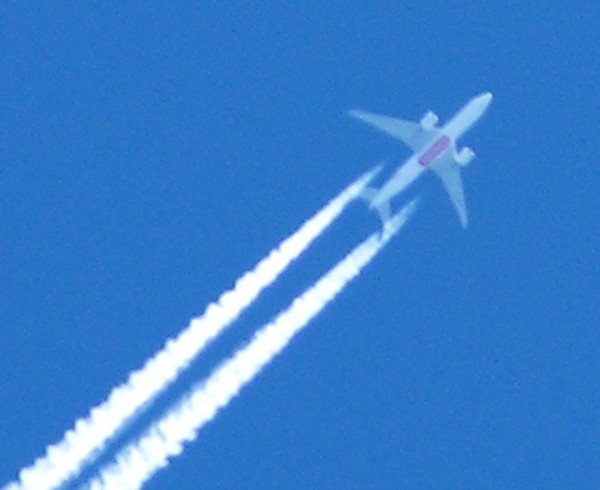 test1.jpg
