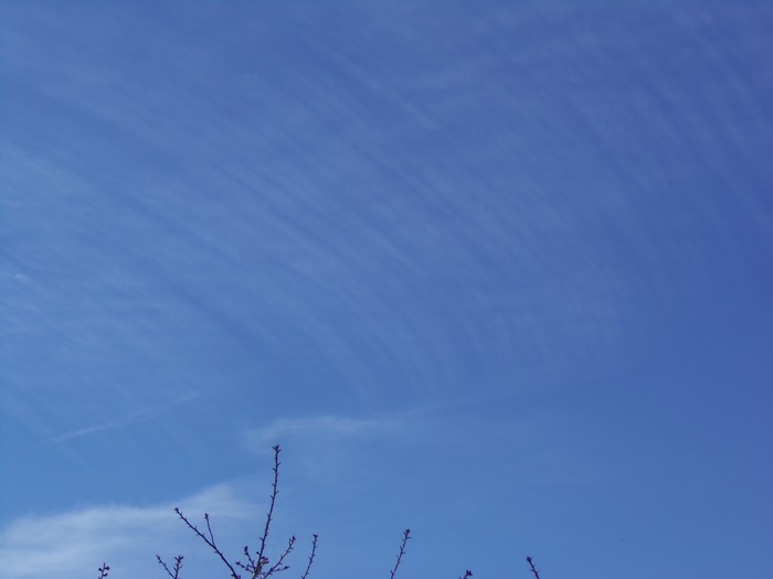 100_0471.JPG