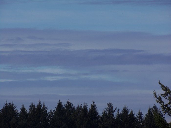 100_0470.JPG