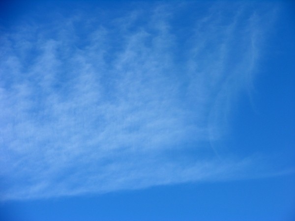 test2.jpg