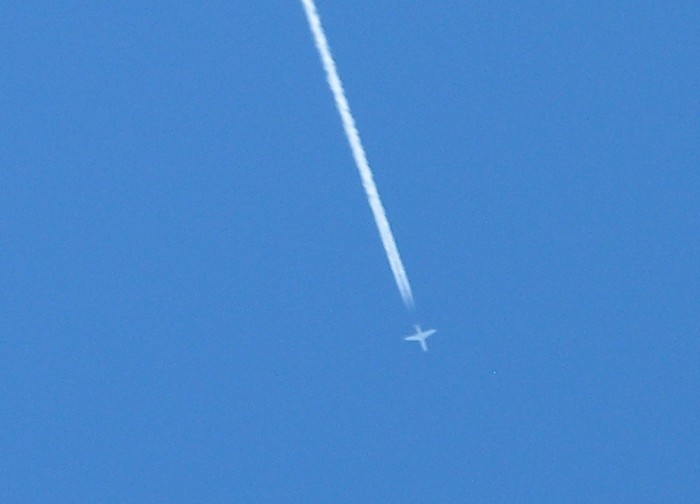 test4.jpg