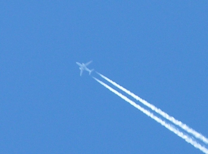 test6.jpg