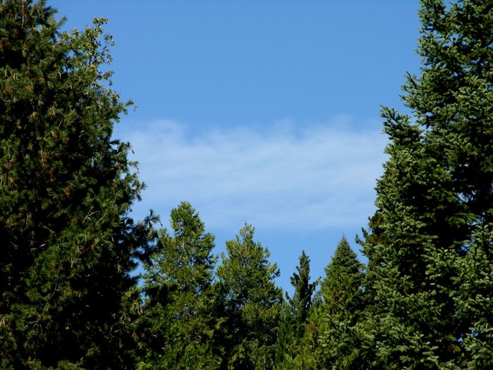 test7.jpg