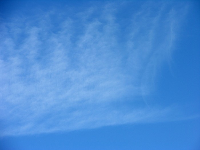 test10.jpg