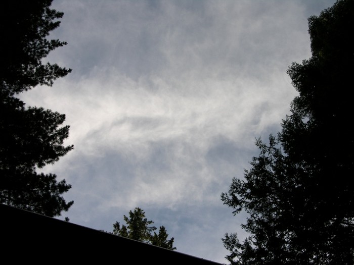 test11.jpg