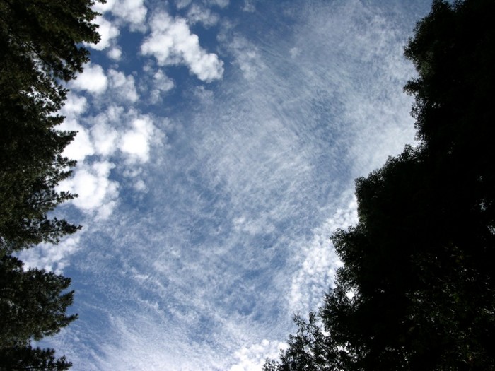 test16.jpg