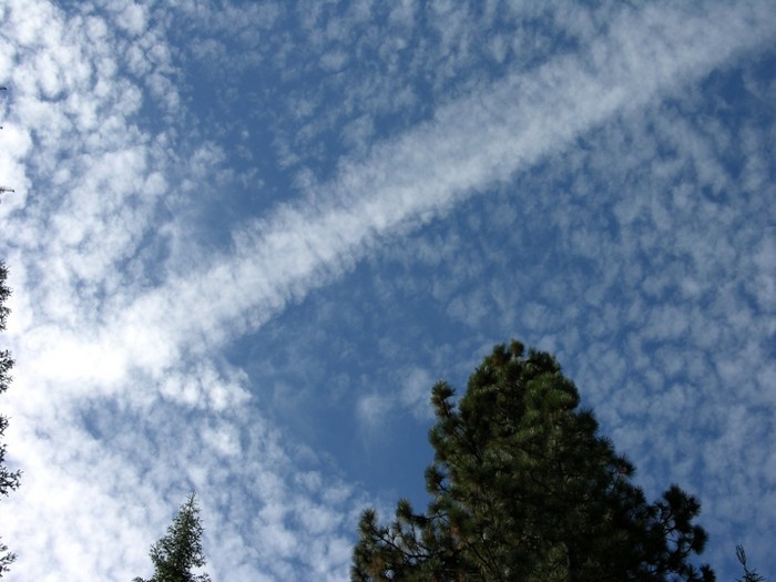 test17.jpg