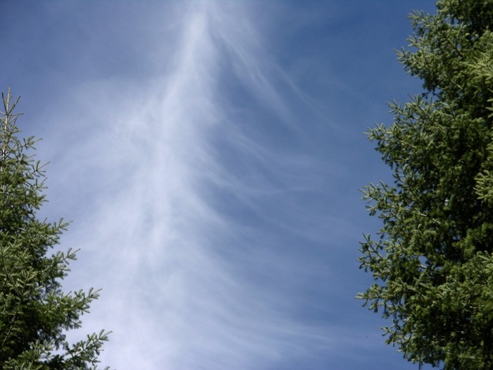 test18.jpg