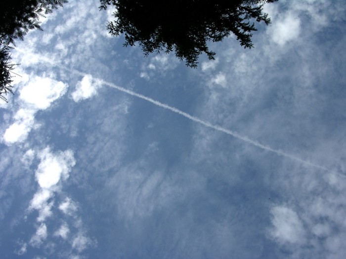 test19.jpg