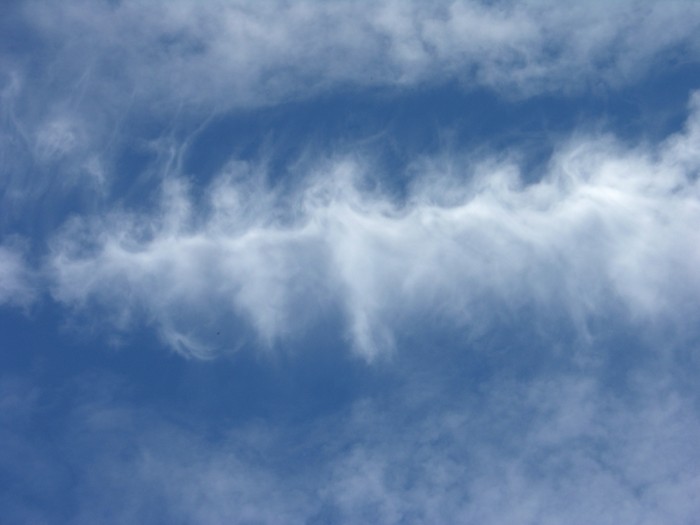 test20.jpg