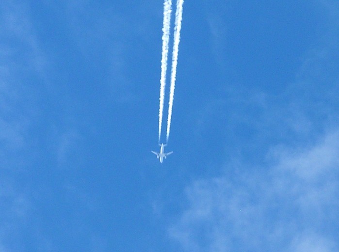 test21.jpg