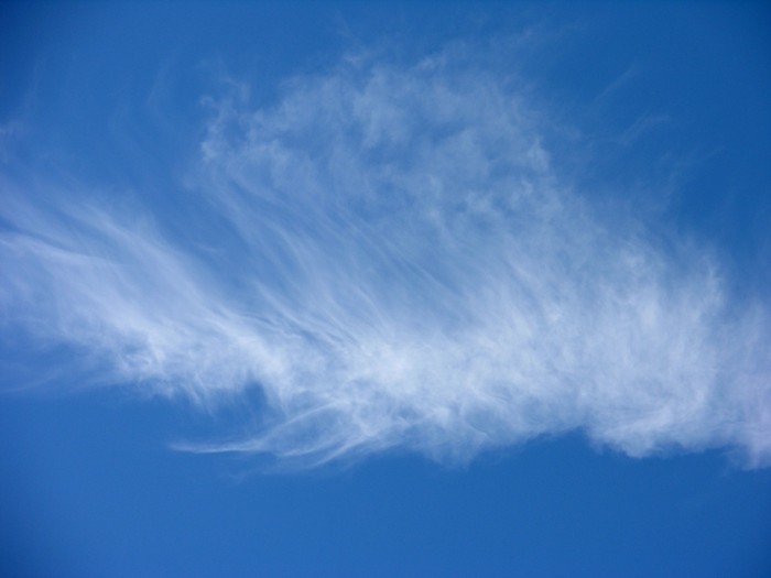 test25.jpg