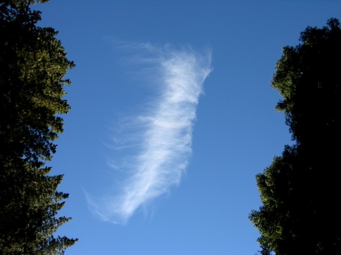 test26.jpg