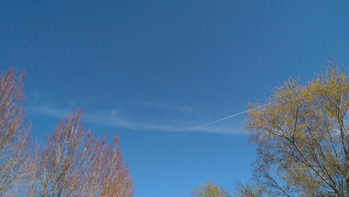 3:29:16tar1.jpg