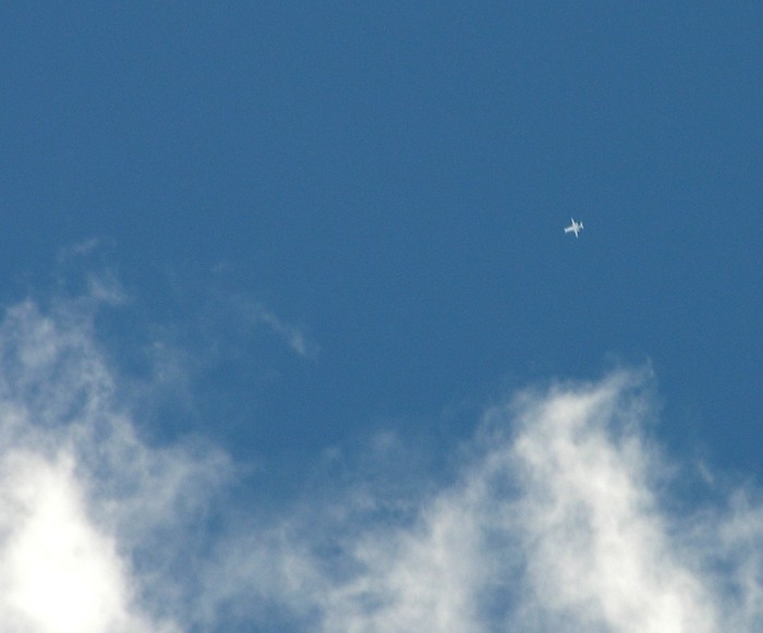 test28.jpg