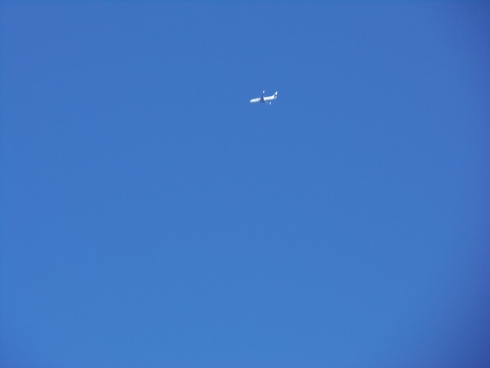 100_0549.JPG