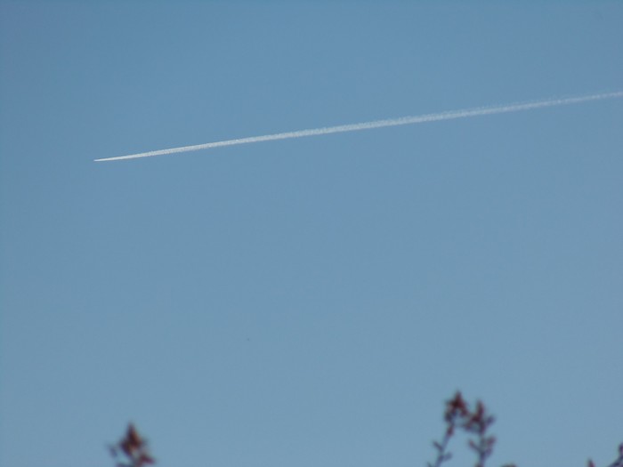100_0568.JPG