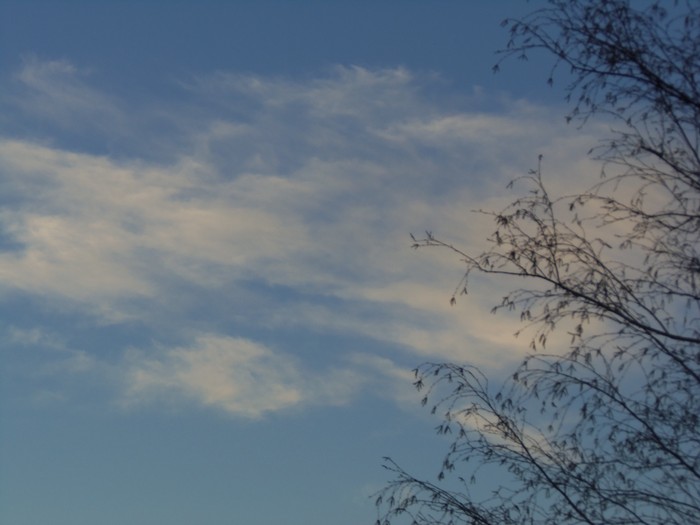 100_0575.JPG