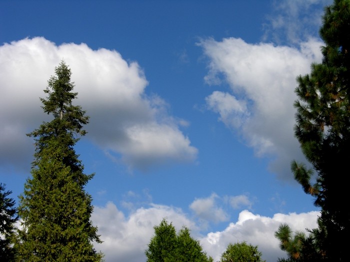 test34.jpg