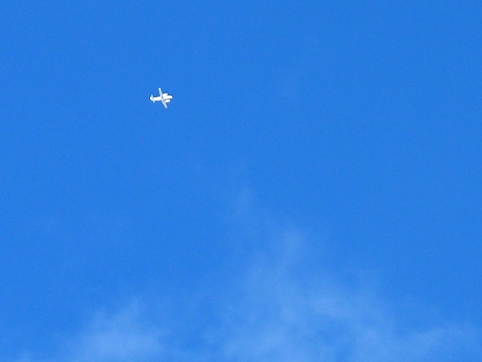 test35.jpg