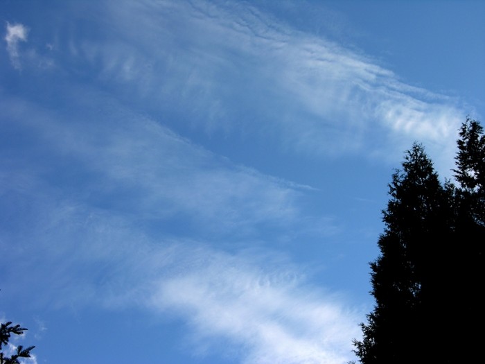 test36.jpg