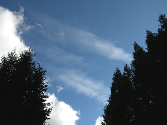 test38.jpg