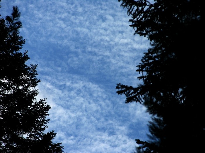 test39.jpg
