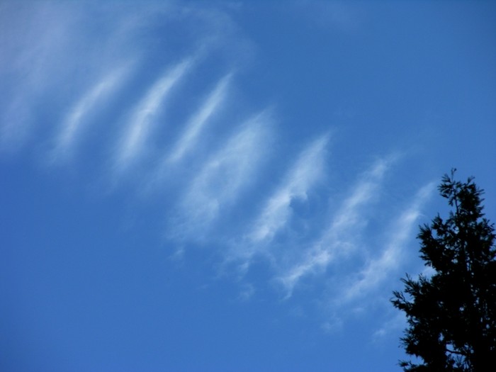 test40.jpg