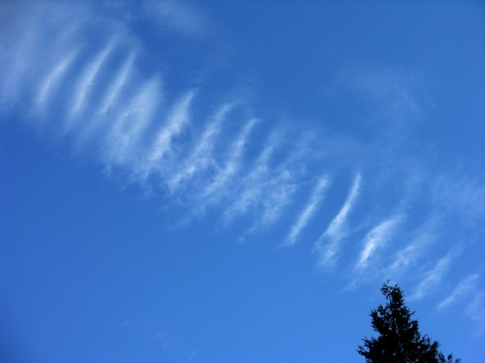 test41.jpg