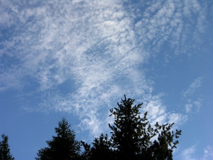 test43.jpg