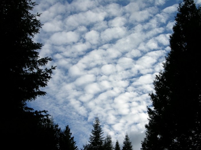 test44.jpg