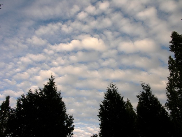 test46.jpg