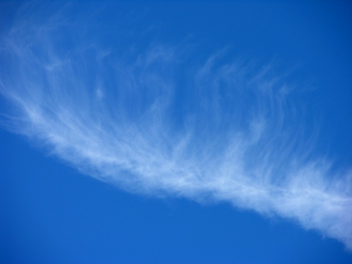test24.jpg