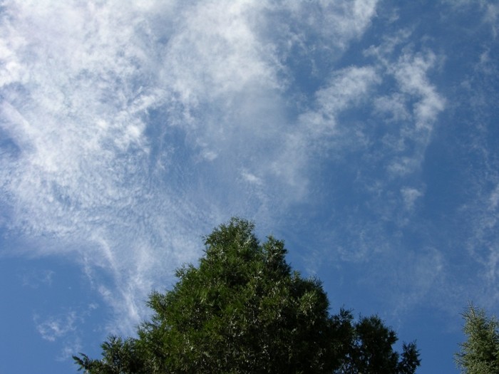 test49.JPG