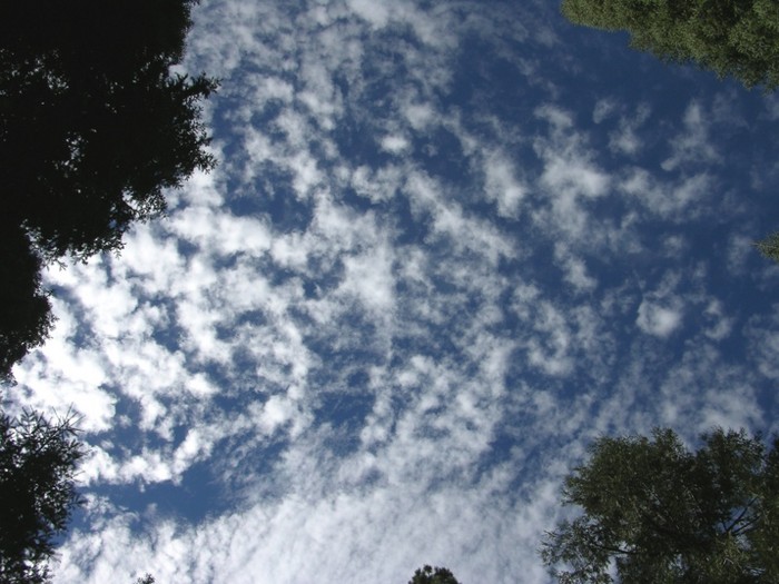 test50.jpg