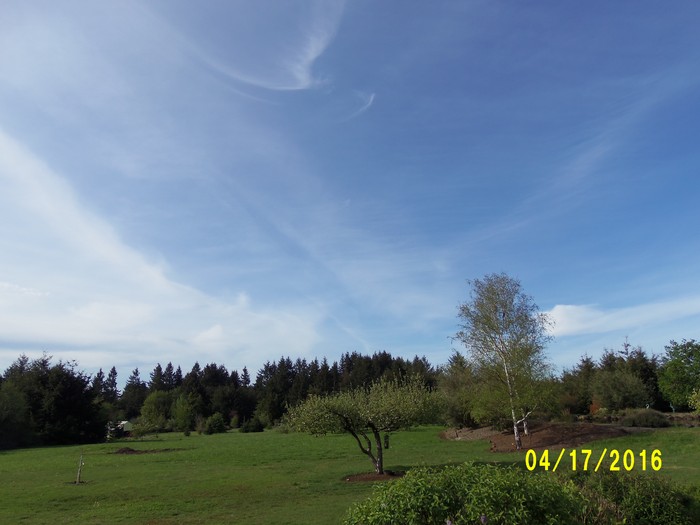 100_0687.JPG