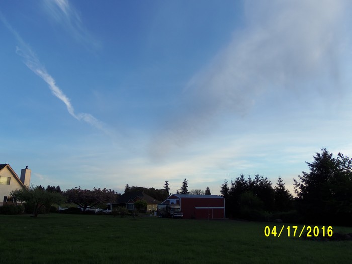 100_0695.JPG