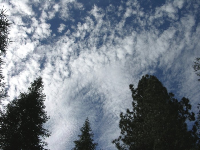 test51.jpg
