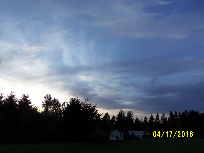 100_0697.JPG
